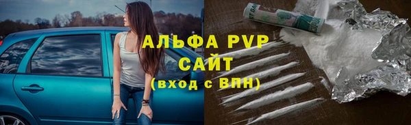 прущие крисы Богданович