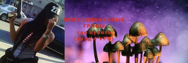 прущие крисы Богданович