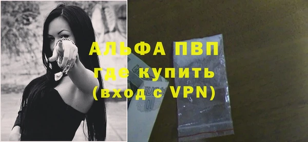 гидра Богородицк
