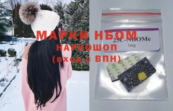 дживик Слюдянка
