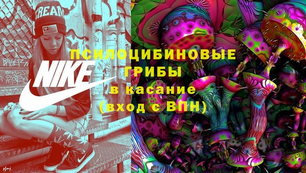 прущие крисы Богданович