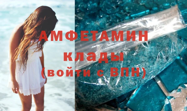 гидра Богородицк