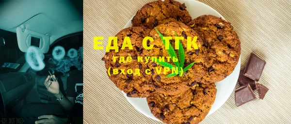 гидра Богородицк