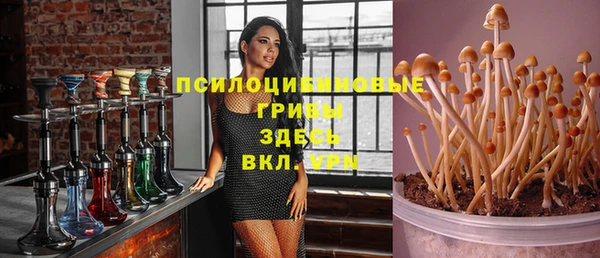 гидра Богородицк