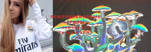 прущие крисы Богданович