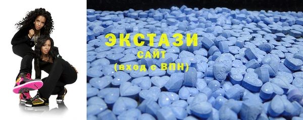 гидра Богородицк
