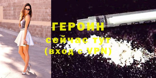 гидра Богородицк
