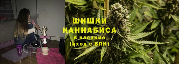 гидра Богородицк