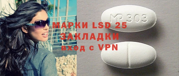 гидра Богородицк