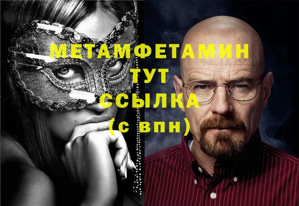 гидра Богородицк