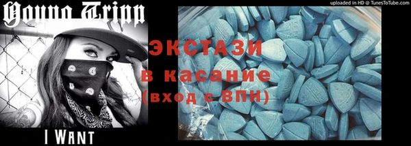 гидра Богородицк
