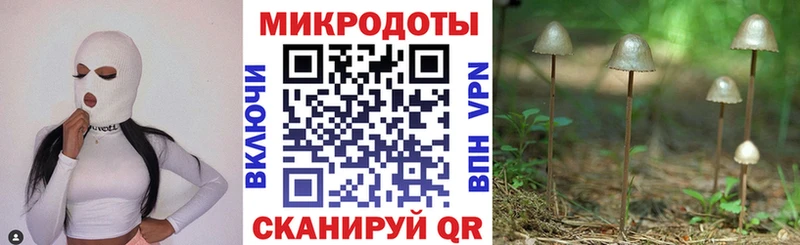 Псилоцибиновые грибы мухоморы  Сланцы 