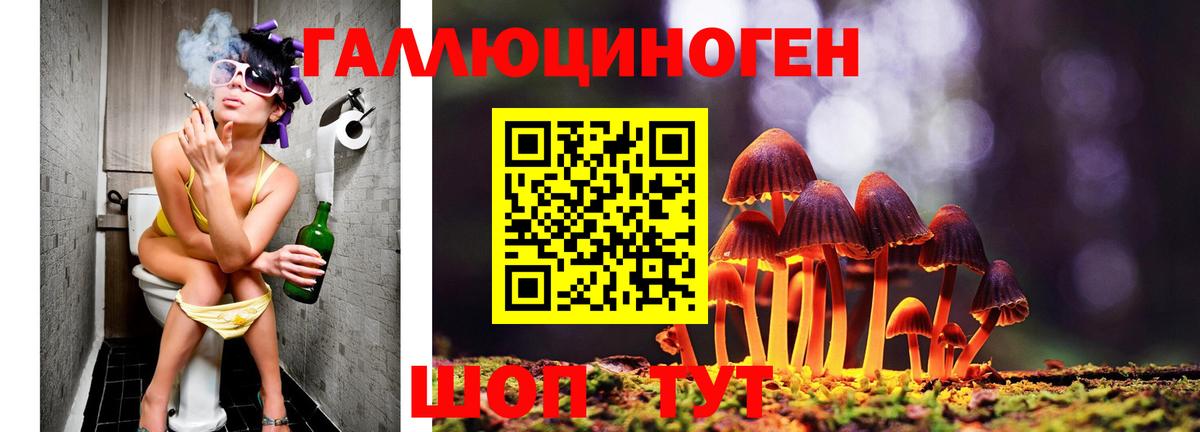 Галлюциногенные грибы Magic Shrooms  цены наркотик  Сланцы  Вход с VPN 