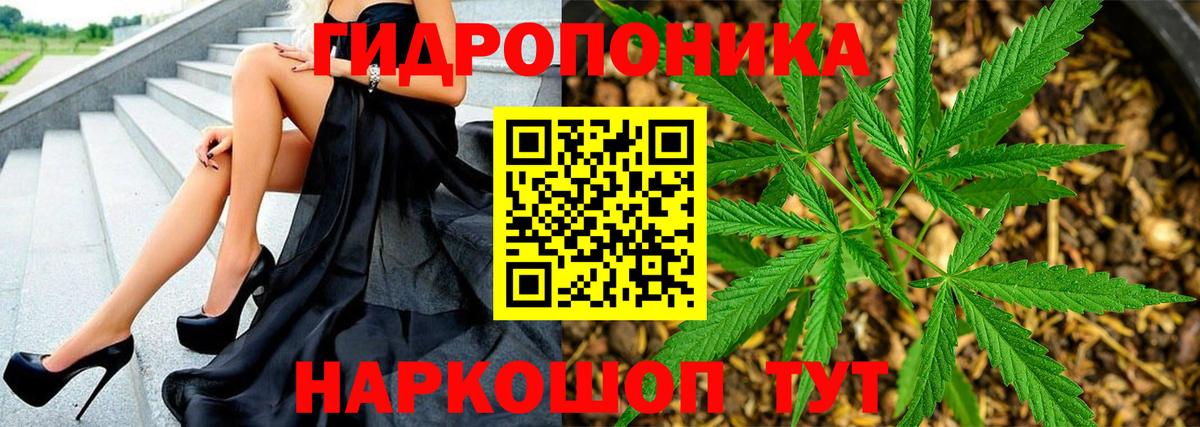 Сланцы  МАРИХУАНА марихуана  Вход с VPN  Бошки Шишки Bruce Banner 